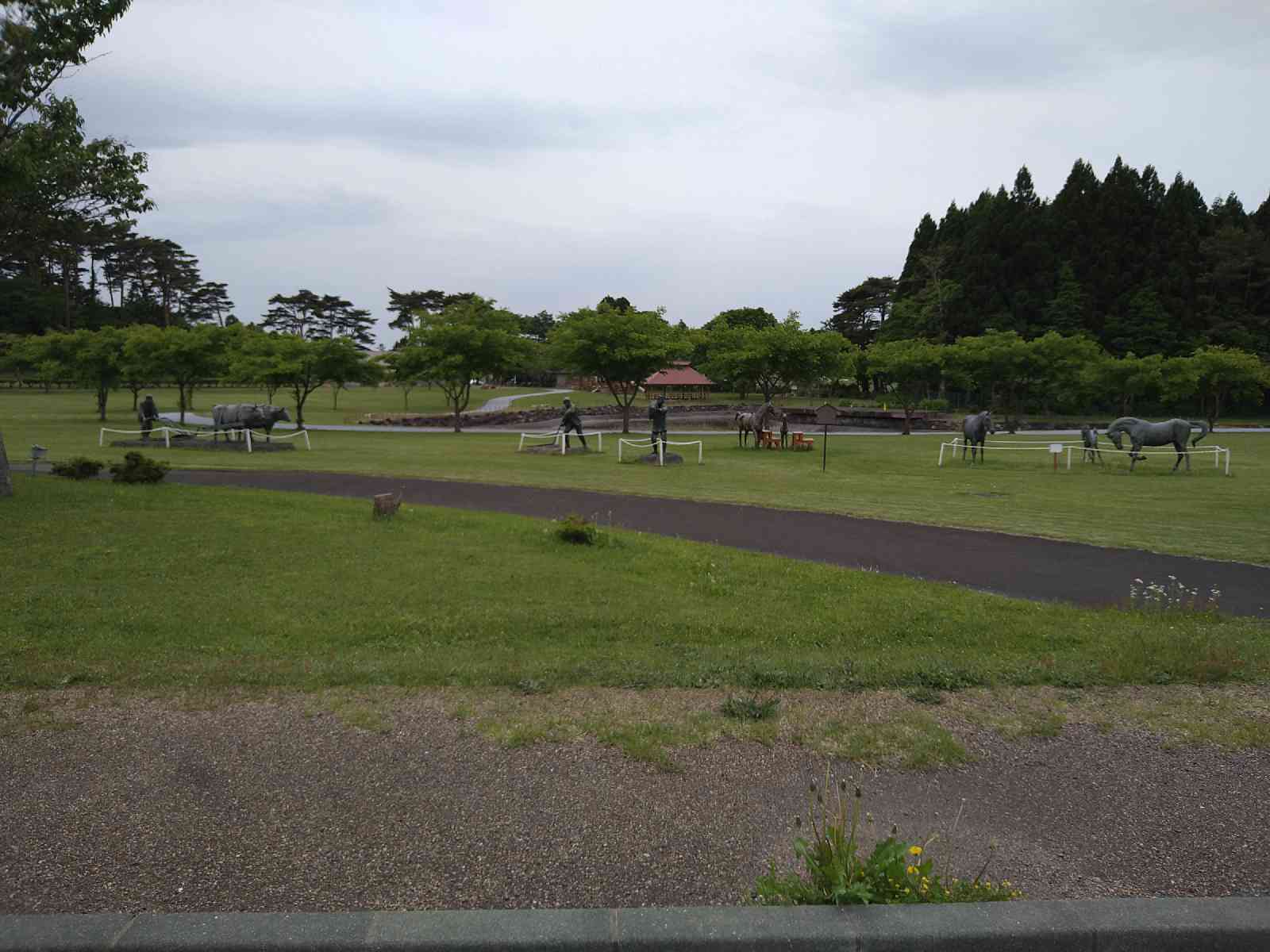 投稿された画像