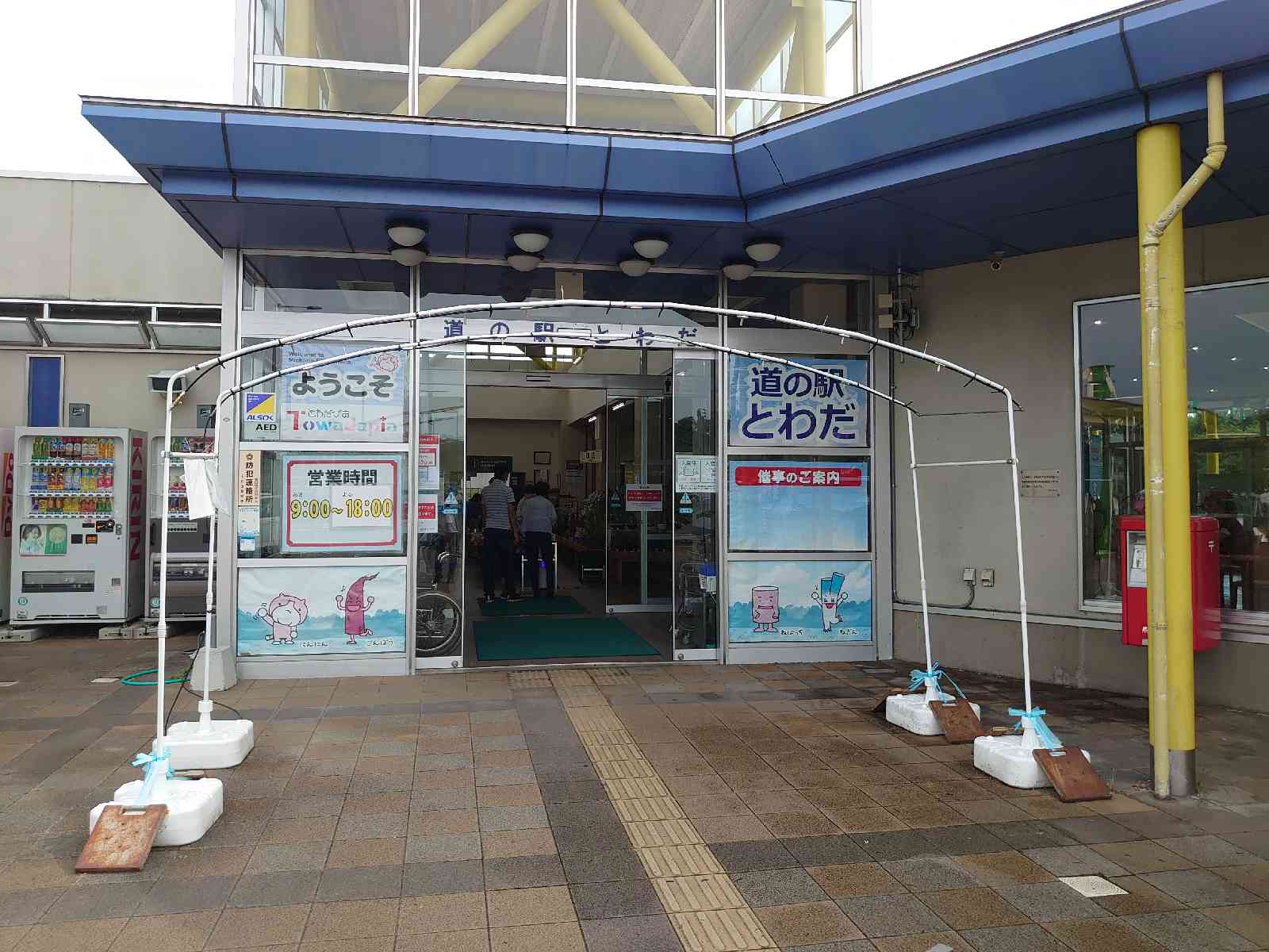 投稿された画像