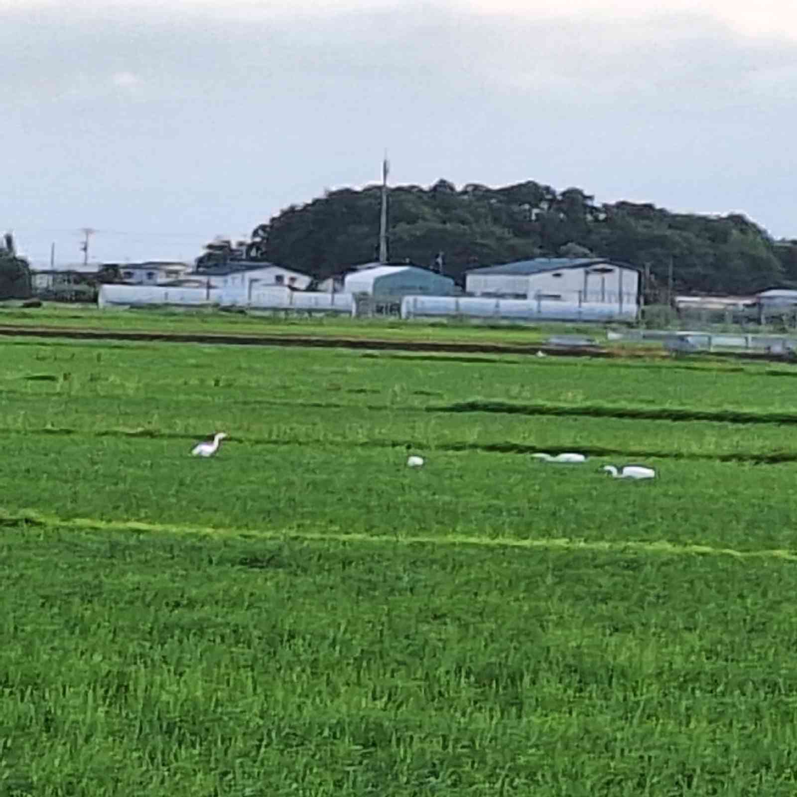 道の駅 つるたの写真