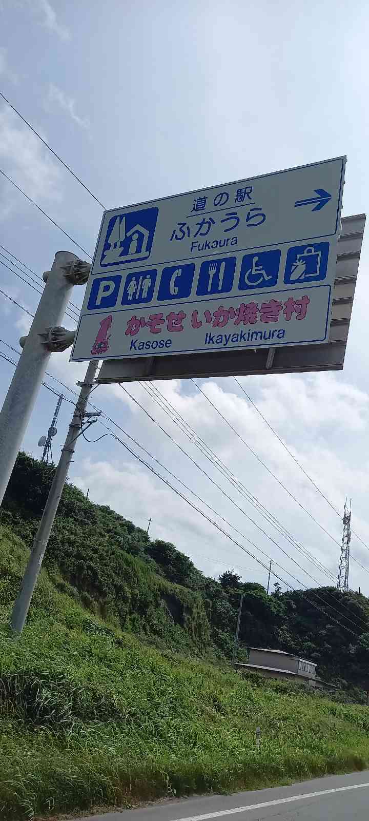 投稿された画像