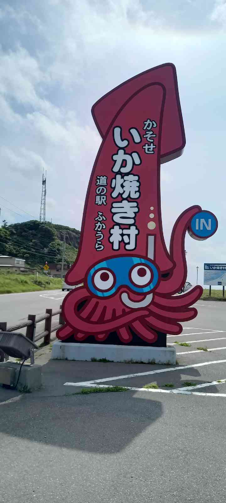 投稿された画像