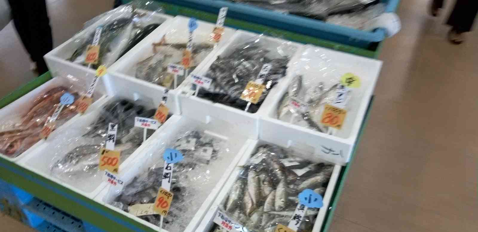 道の駅 ふかうらの写真