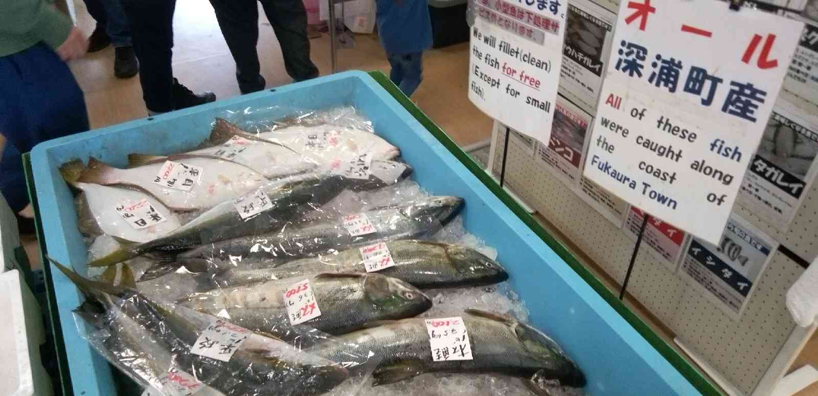 道の駅 ふかうらの写真