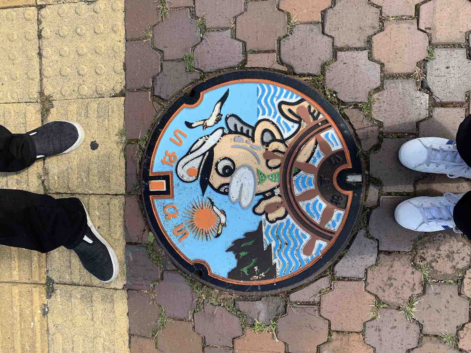 投稿された画像