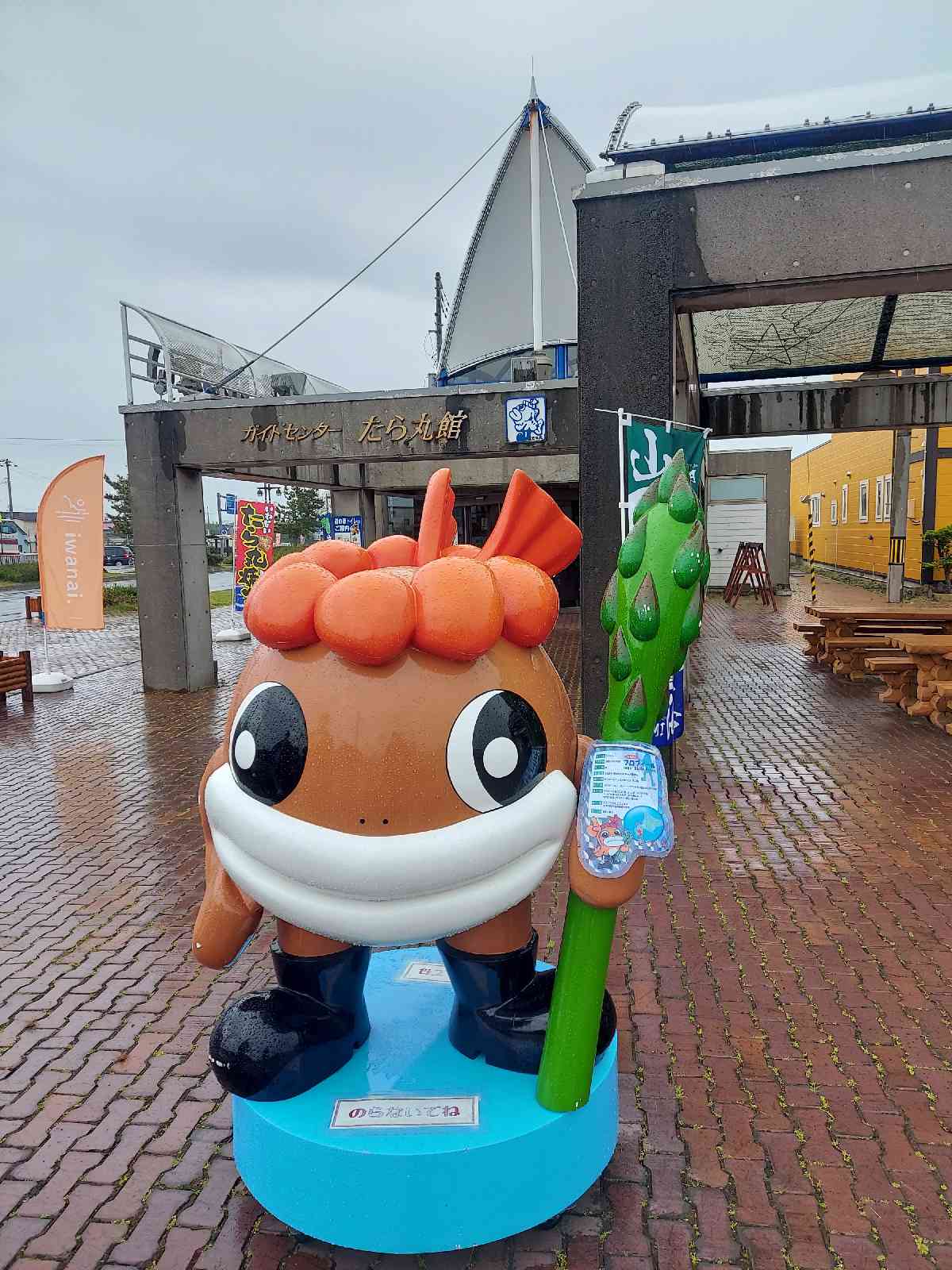 投稿された画像