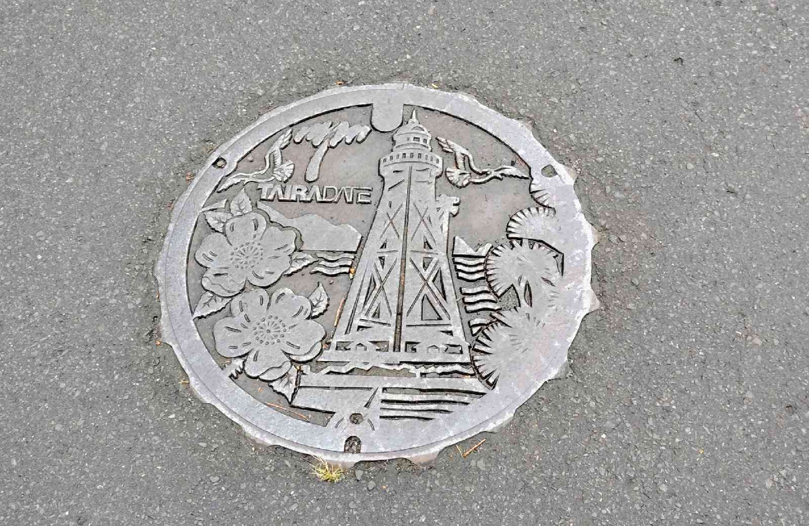 道の駅 たいらだての写真
