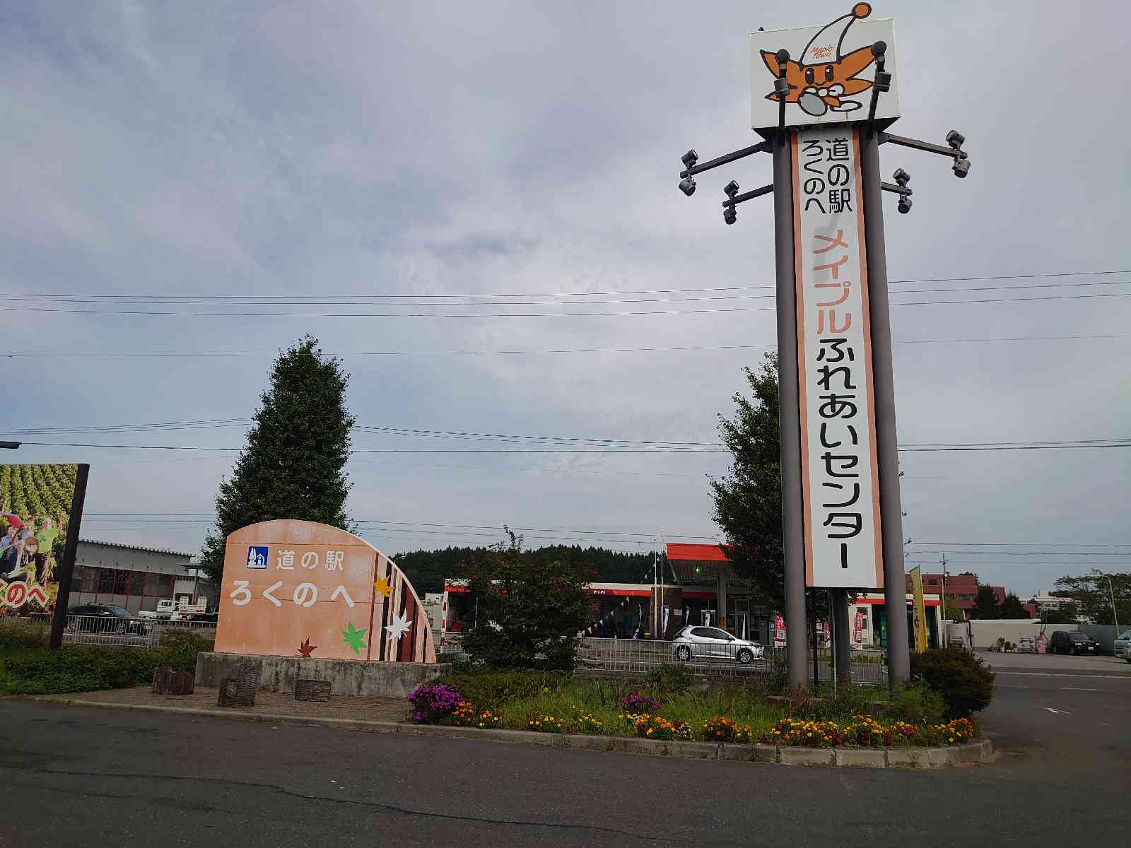 投稿された画像