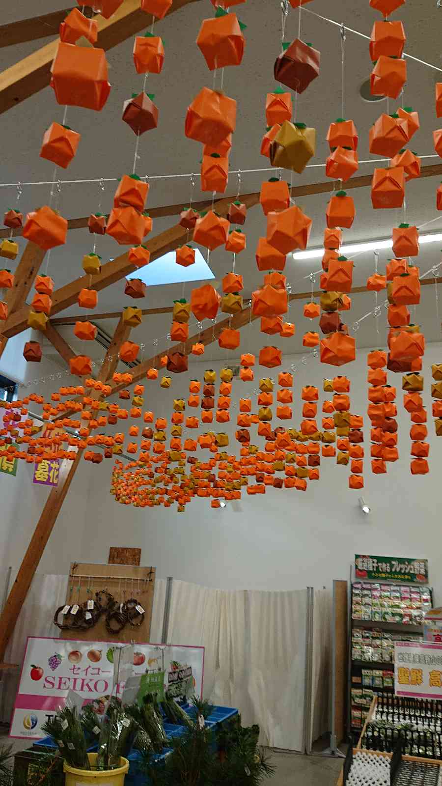 投稿された画像