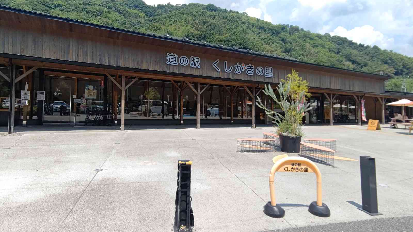 投稿された画像