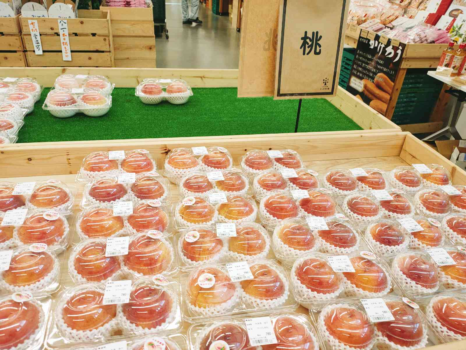 投稿された画像