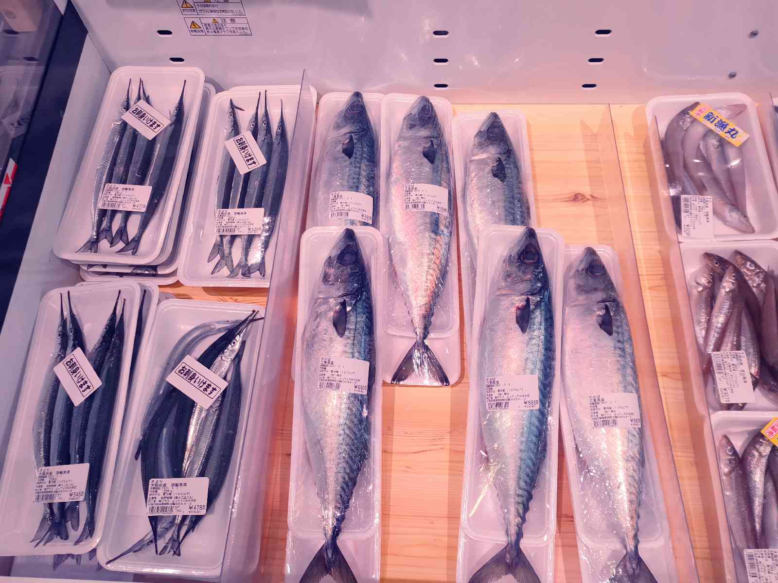 投稿された画像
