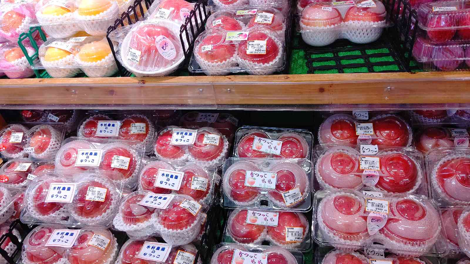 投稿された画像