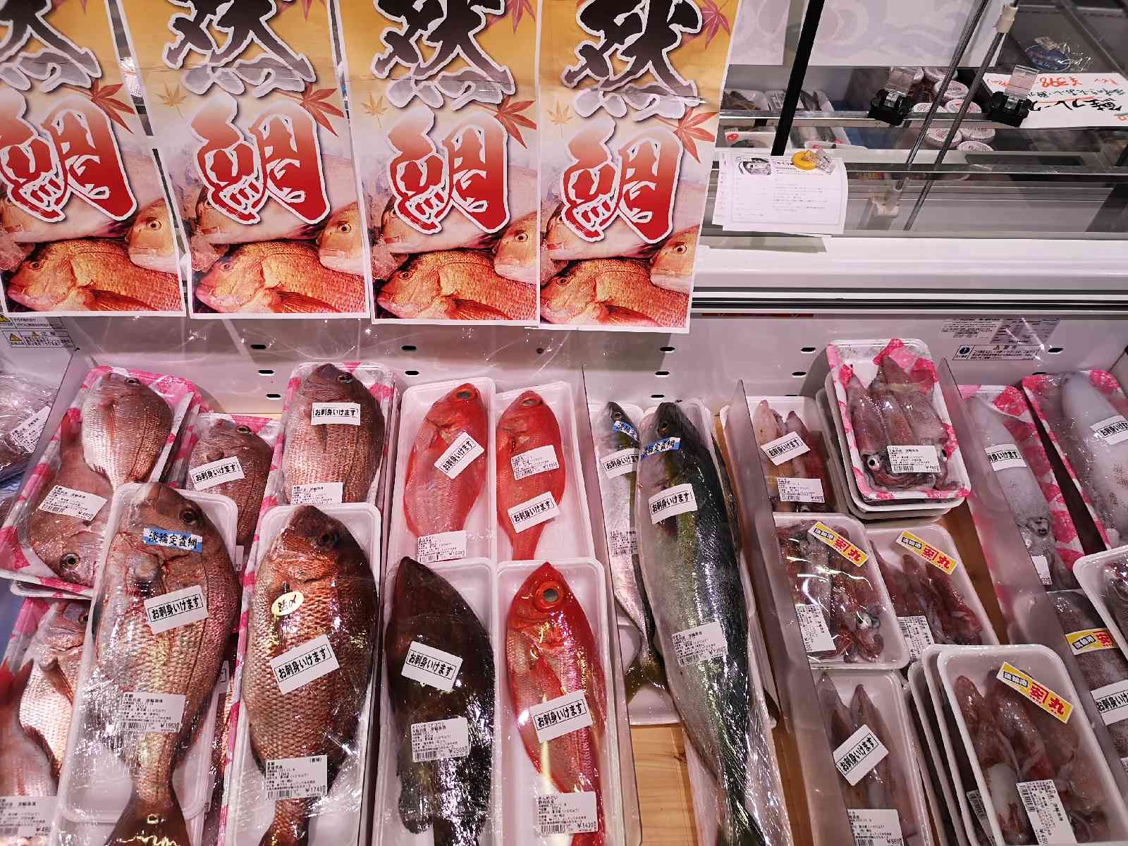 投稿された画像