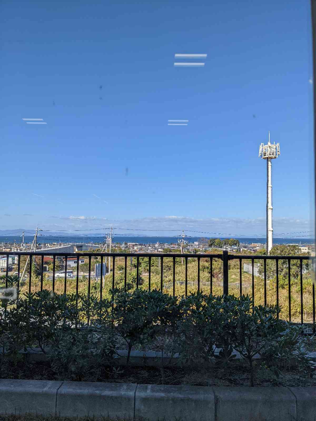 投稿された画像