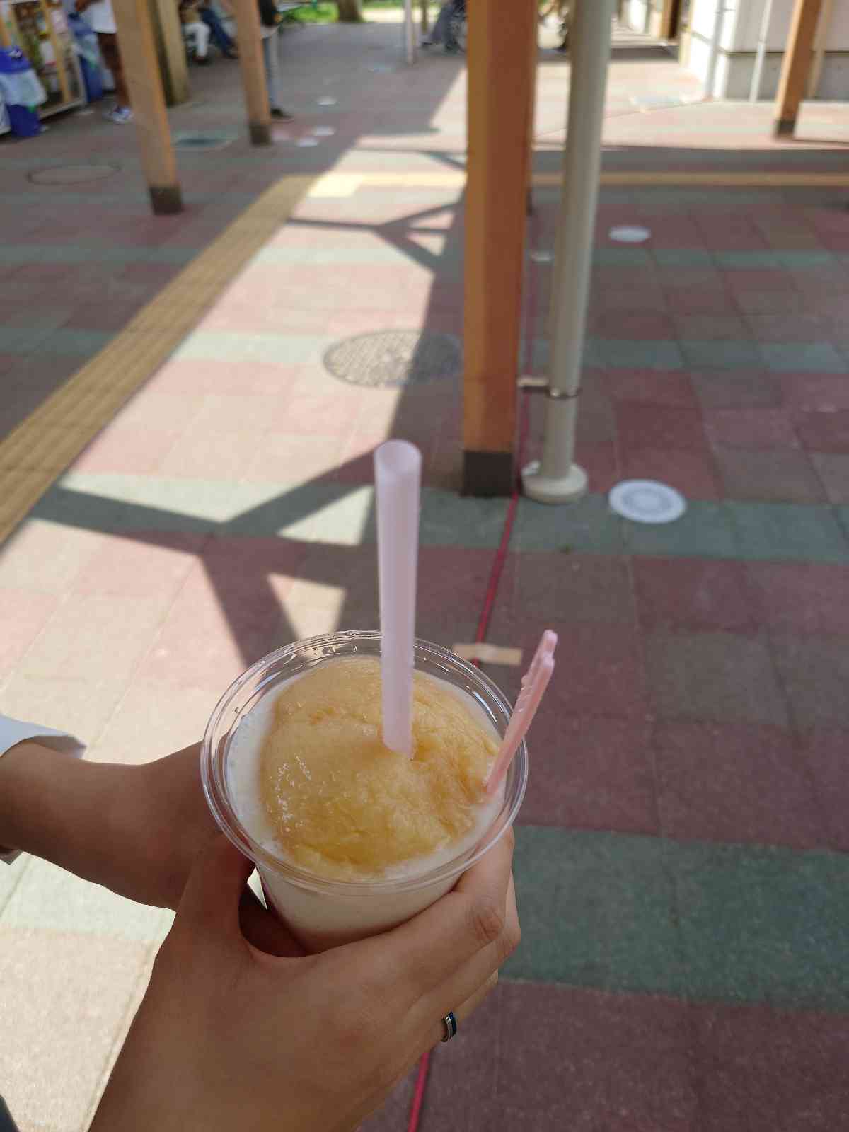 投稿された画像