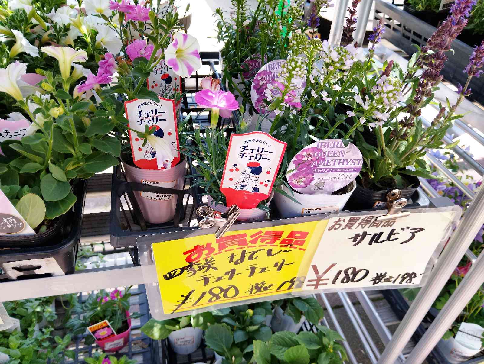 道の駅 みさきの写真