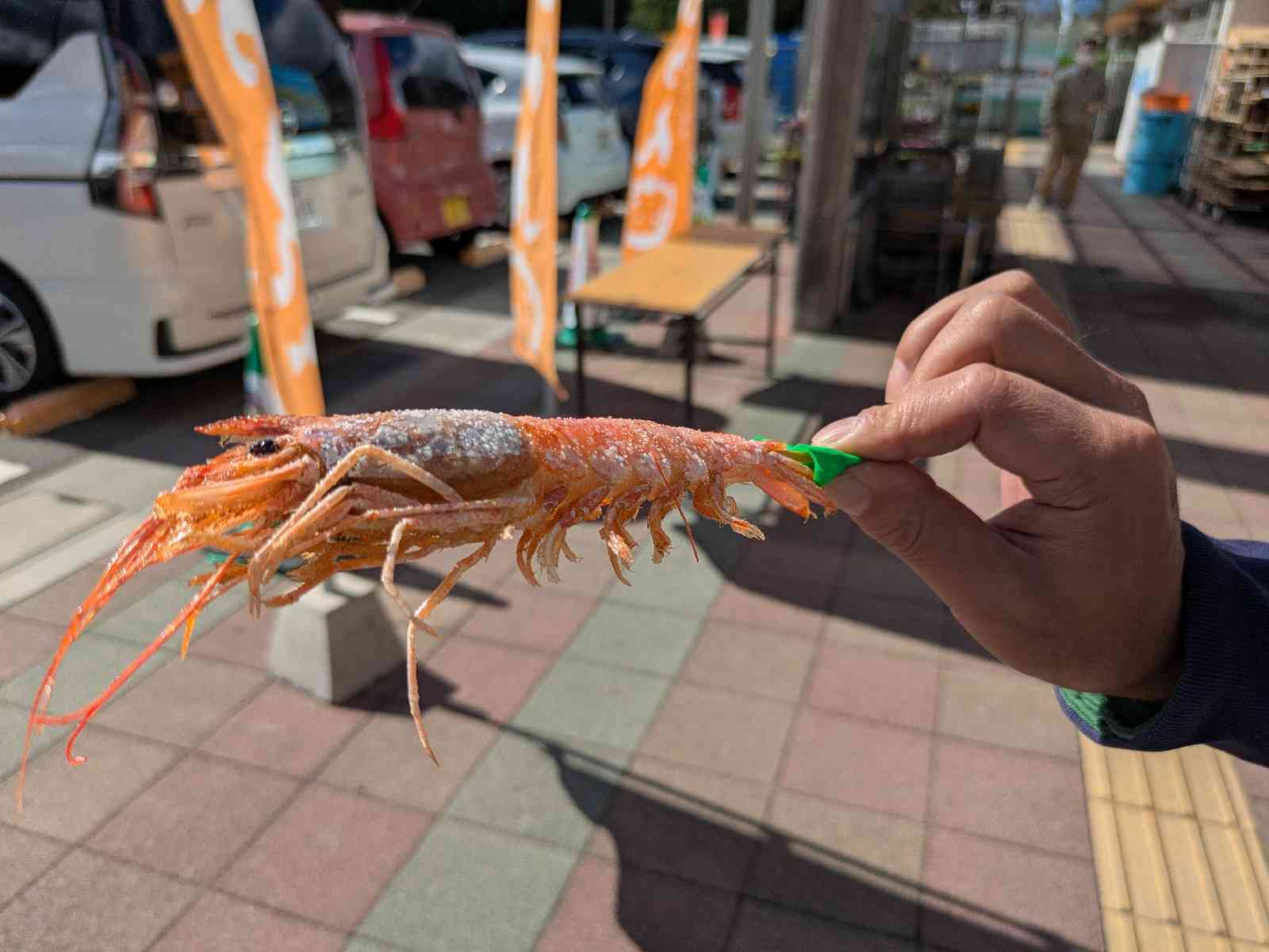 道の駅 みさきの写真
