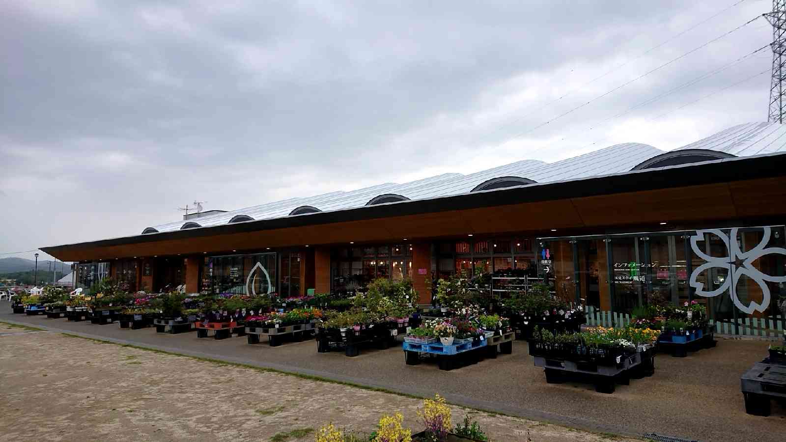 投稿された画像