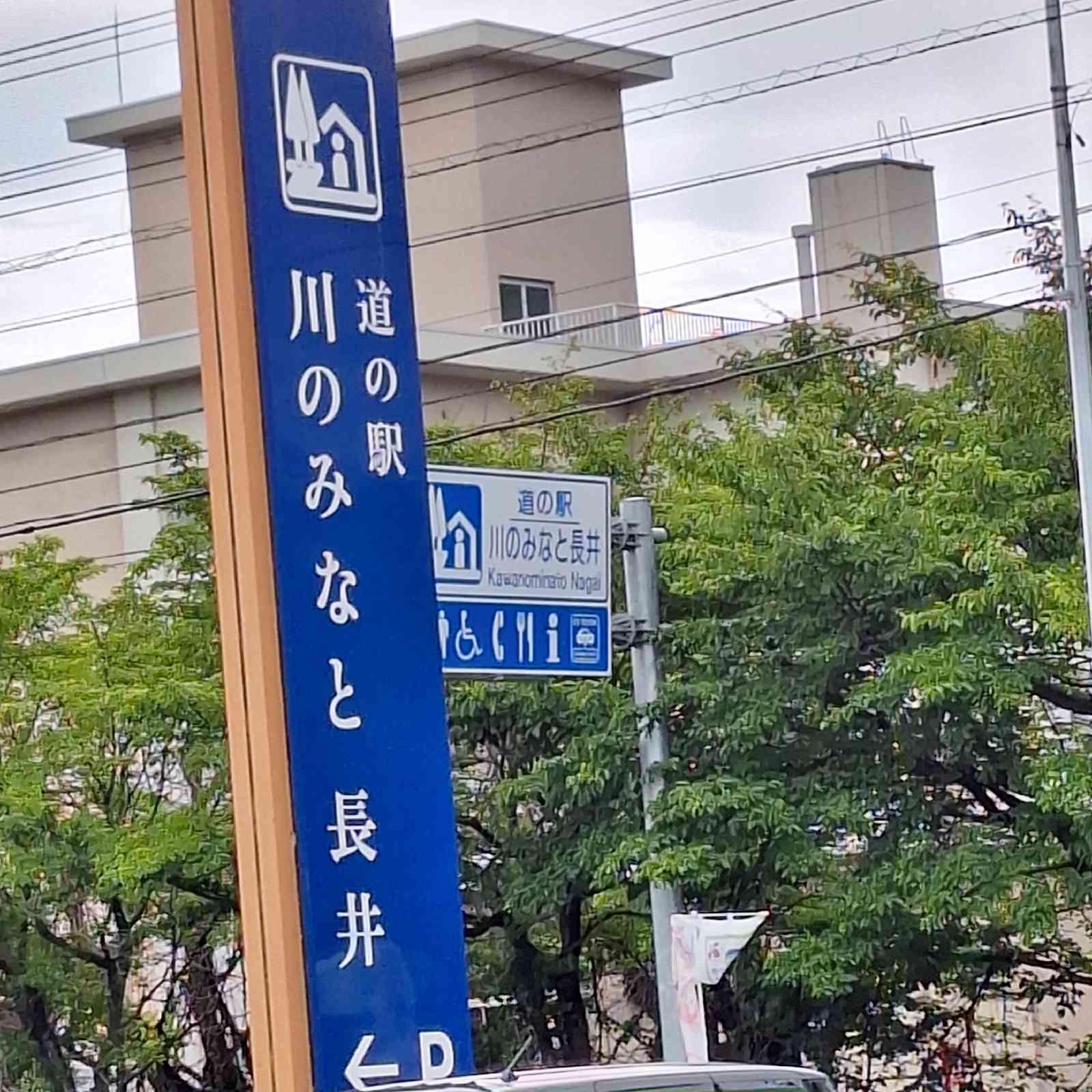 道の駅 川のみなと長井の写真
