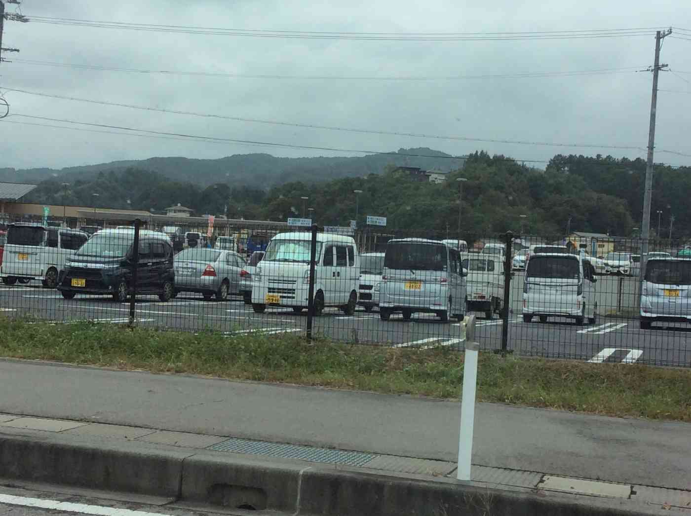 投稿された画像