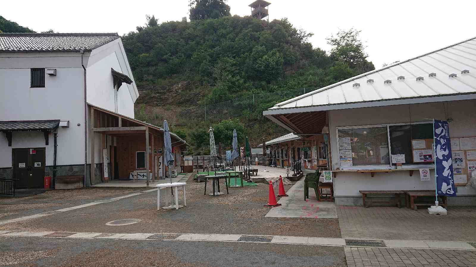 投稿された画像