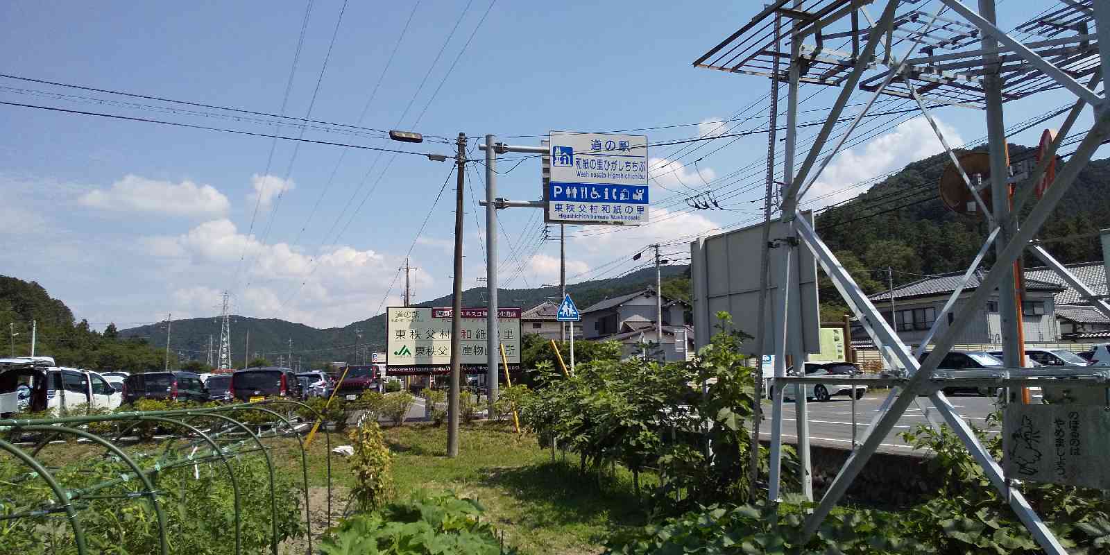 投稿された画像