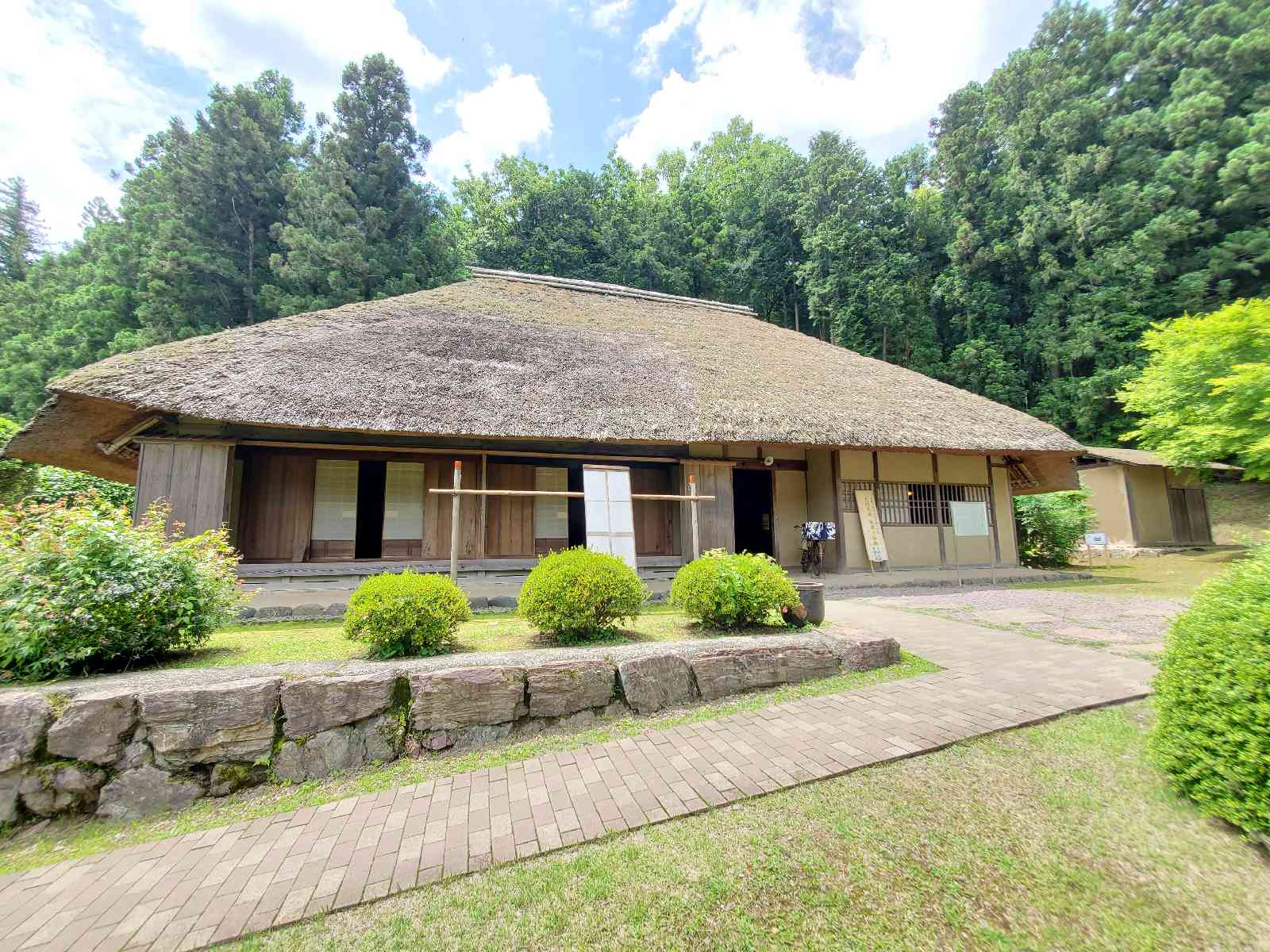 投稿された画像