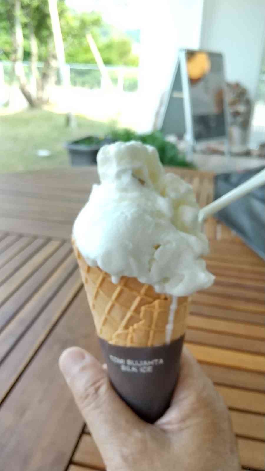 投稿された画像