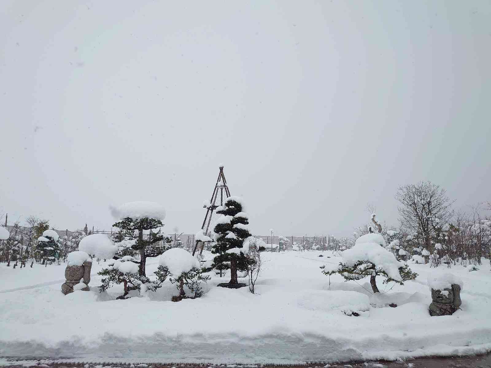 道の駅 庭園の郷 保内の写真