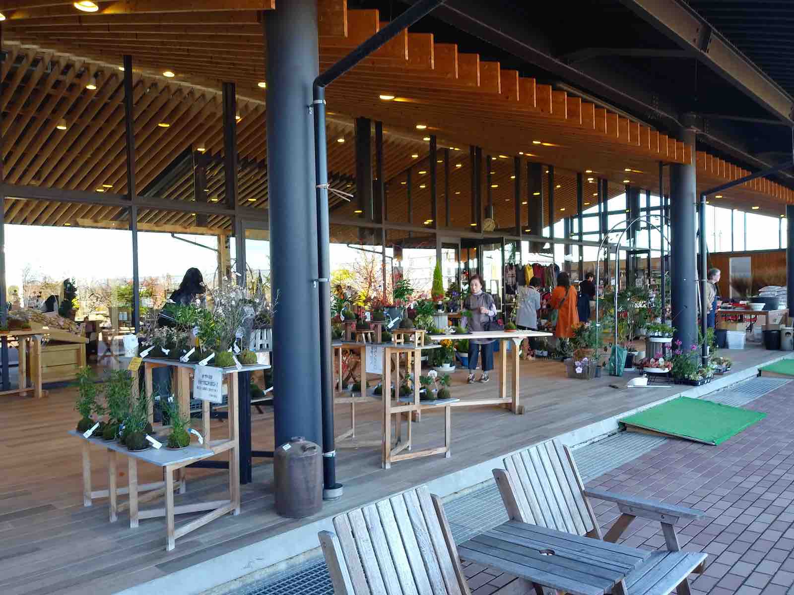 投稿された画像