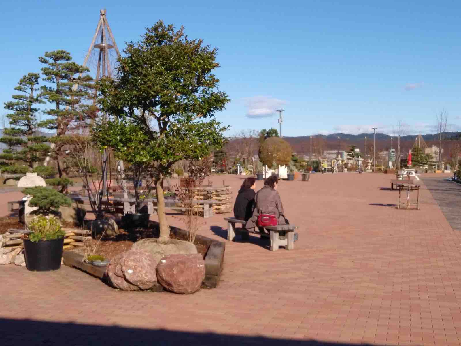 投稿された画像