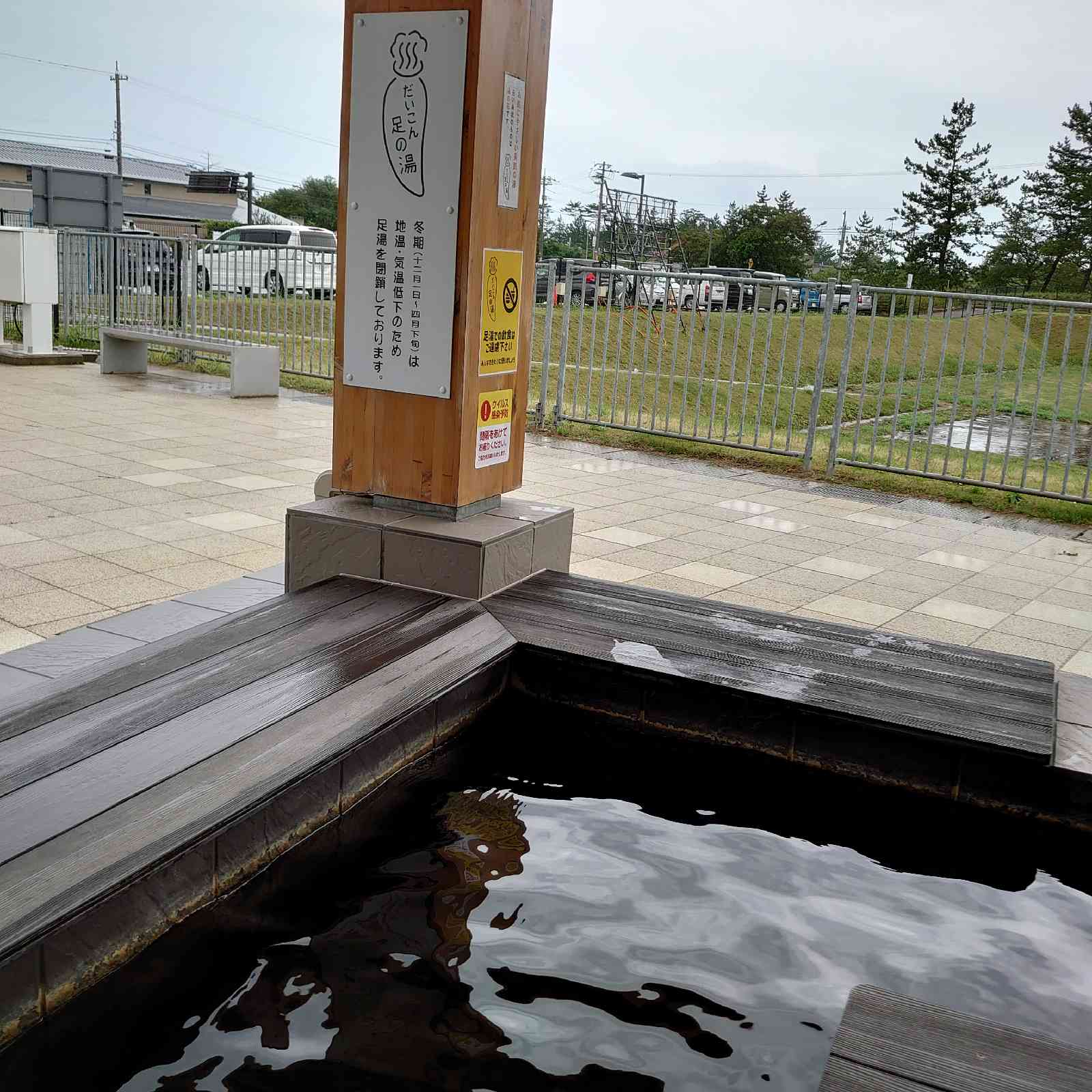 投稿された画像