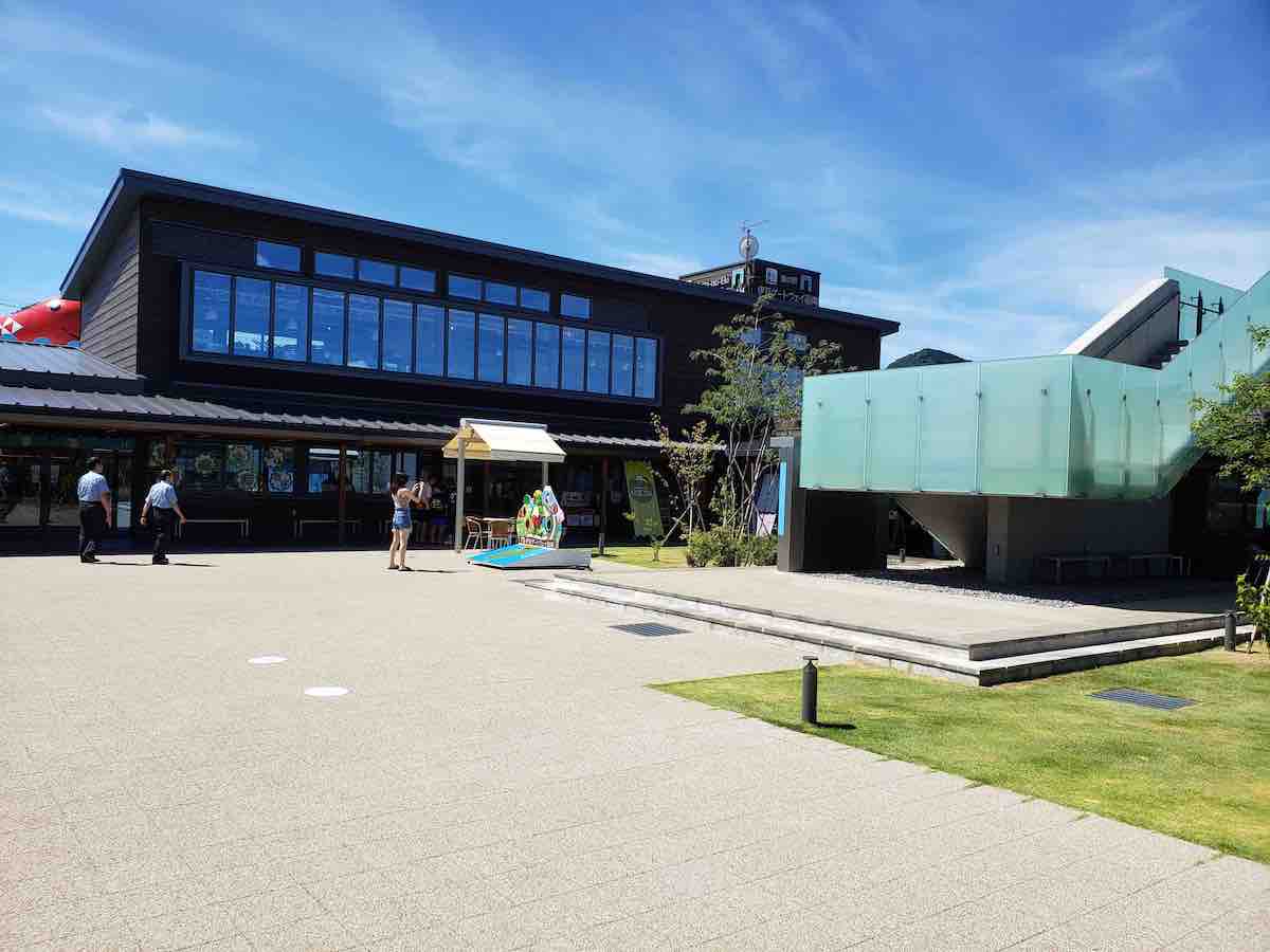 投稿された画像