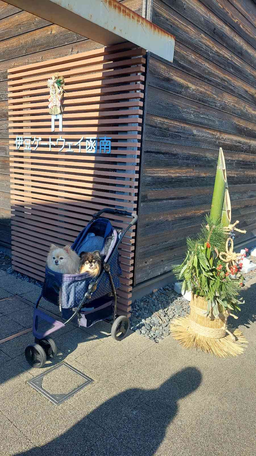 道の駅 伊豆ゲートウェイ函南の写真