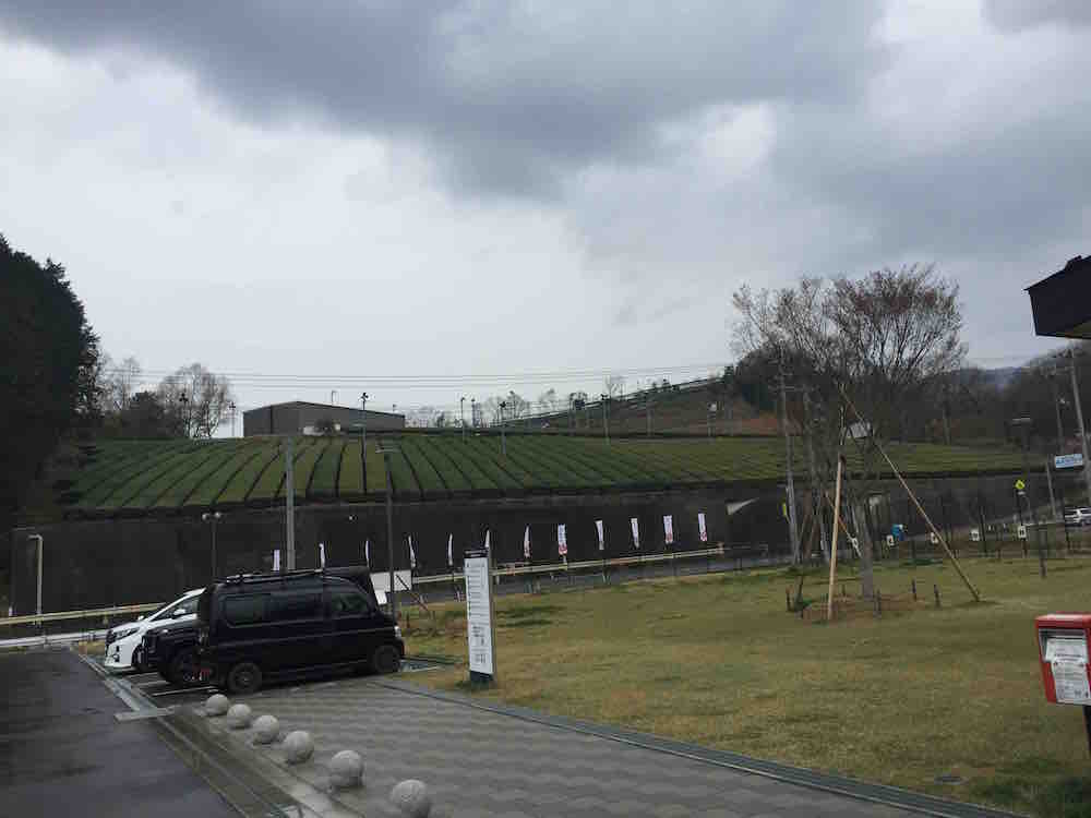 投稿された画像
