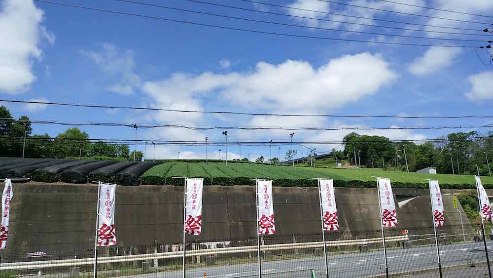 投稿された画像