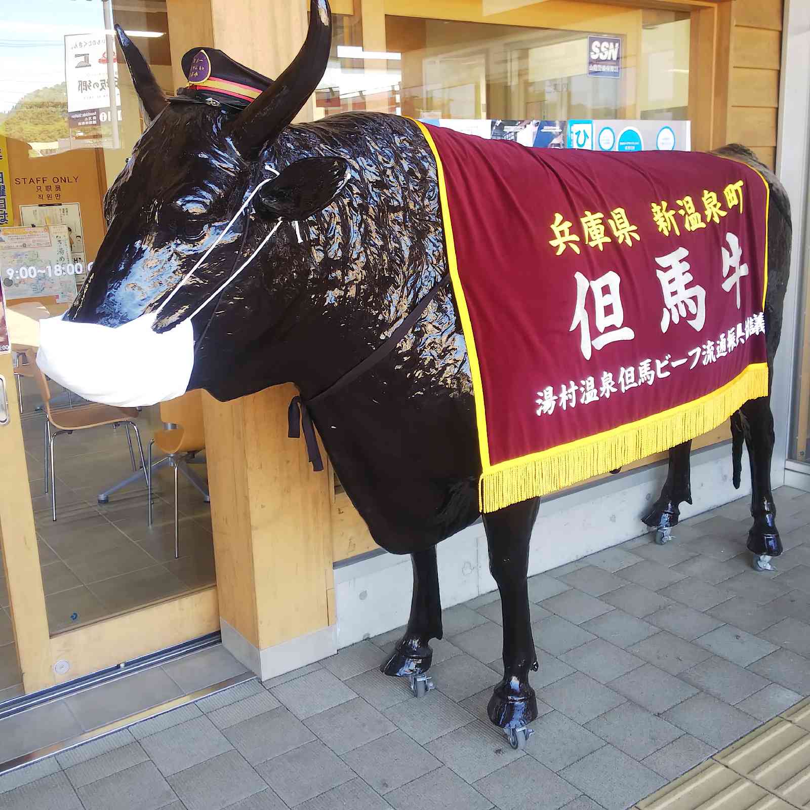 投稿された画像