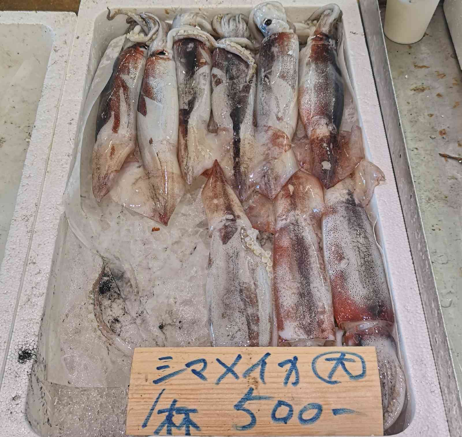 道の駅 琴の浦の写真