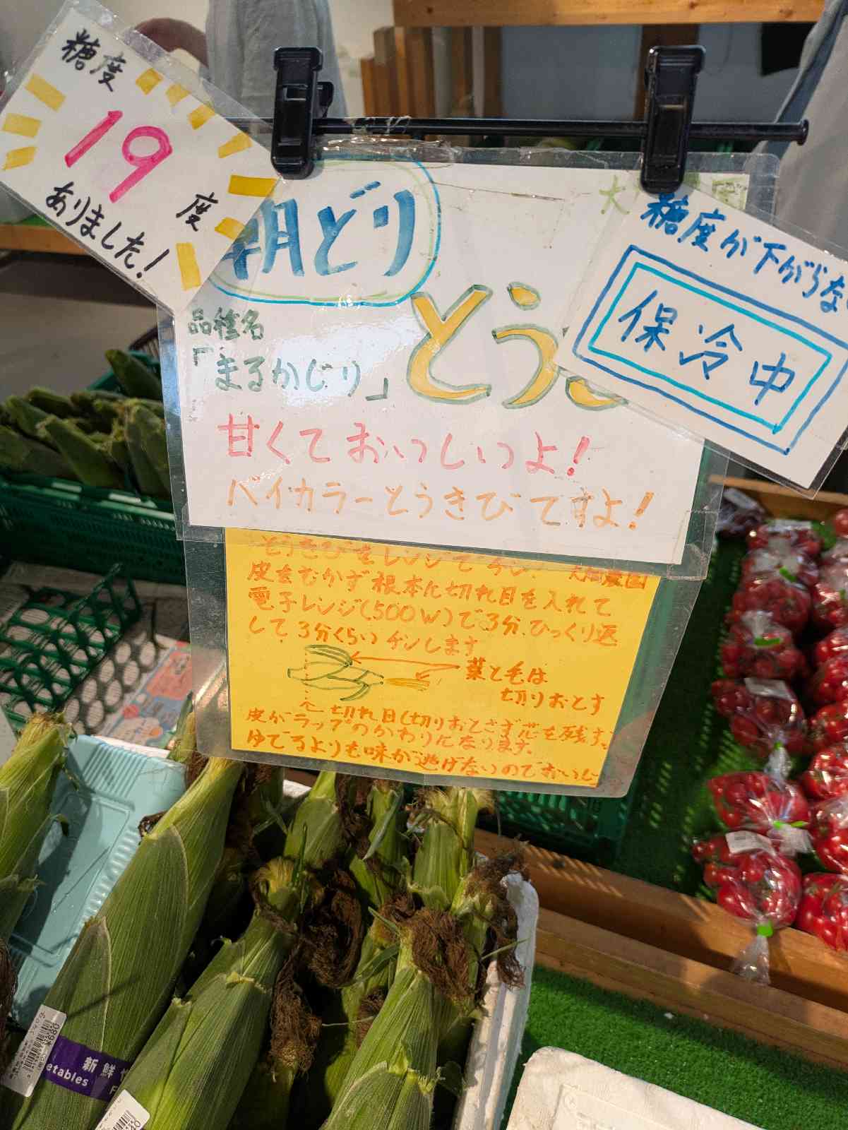 道の駅 北欧の風 道の駅とうべつの写真