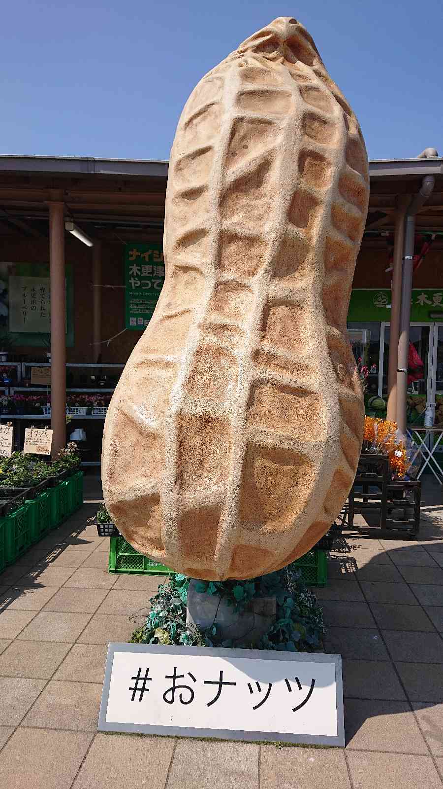 投稿された画像