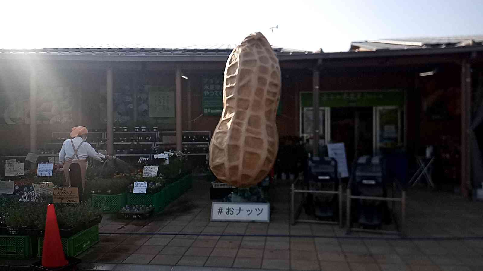 投稿された画像