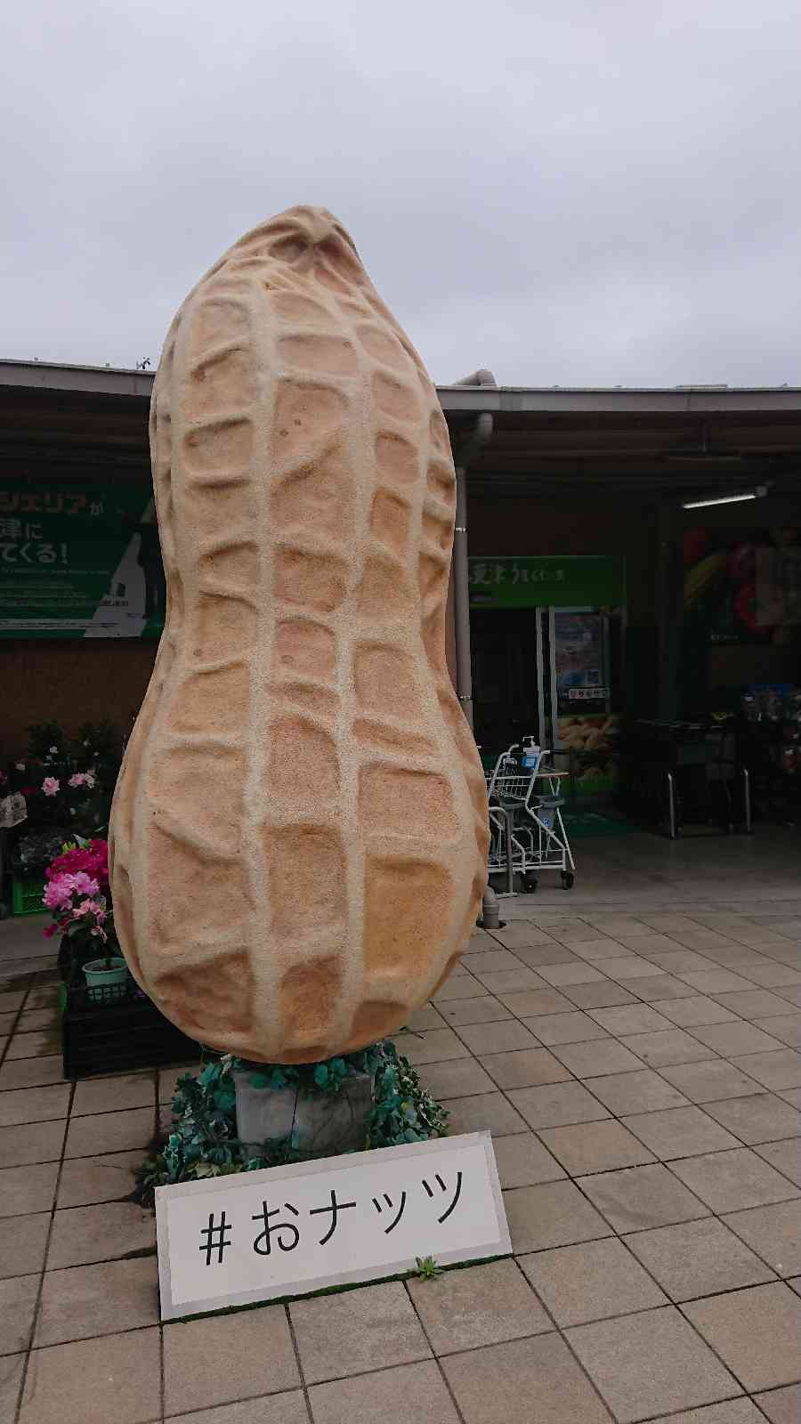 投稿された画像