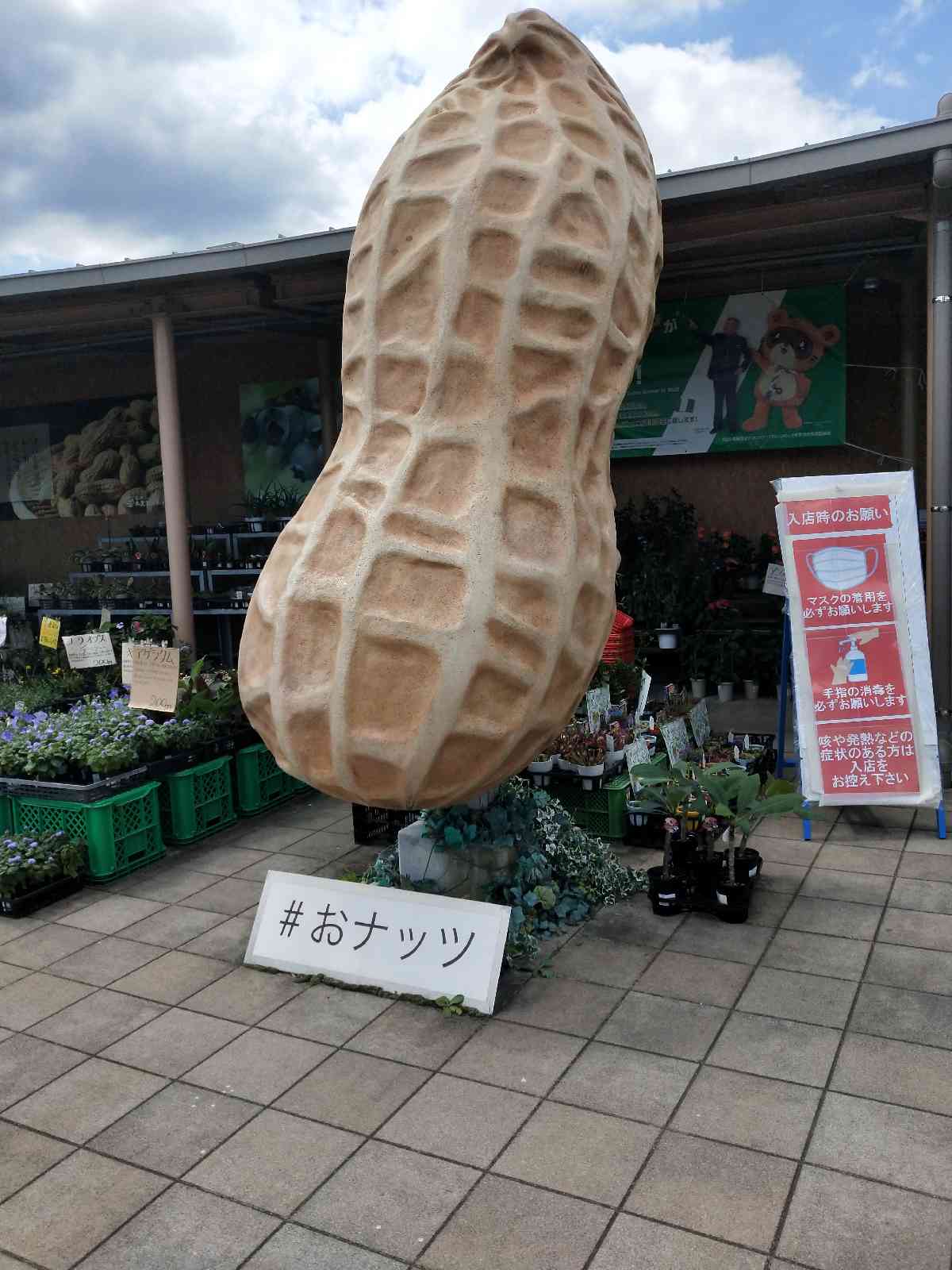 投稿された画像