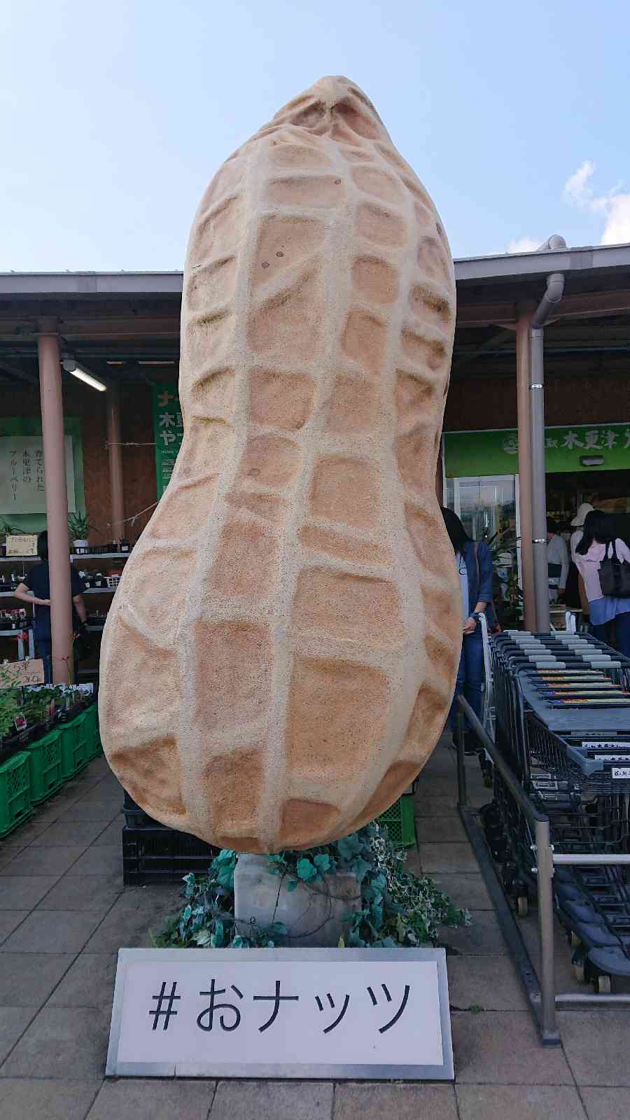 投稿された画像