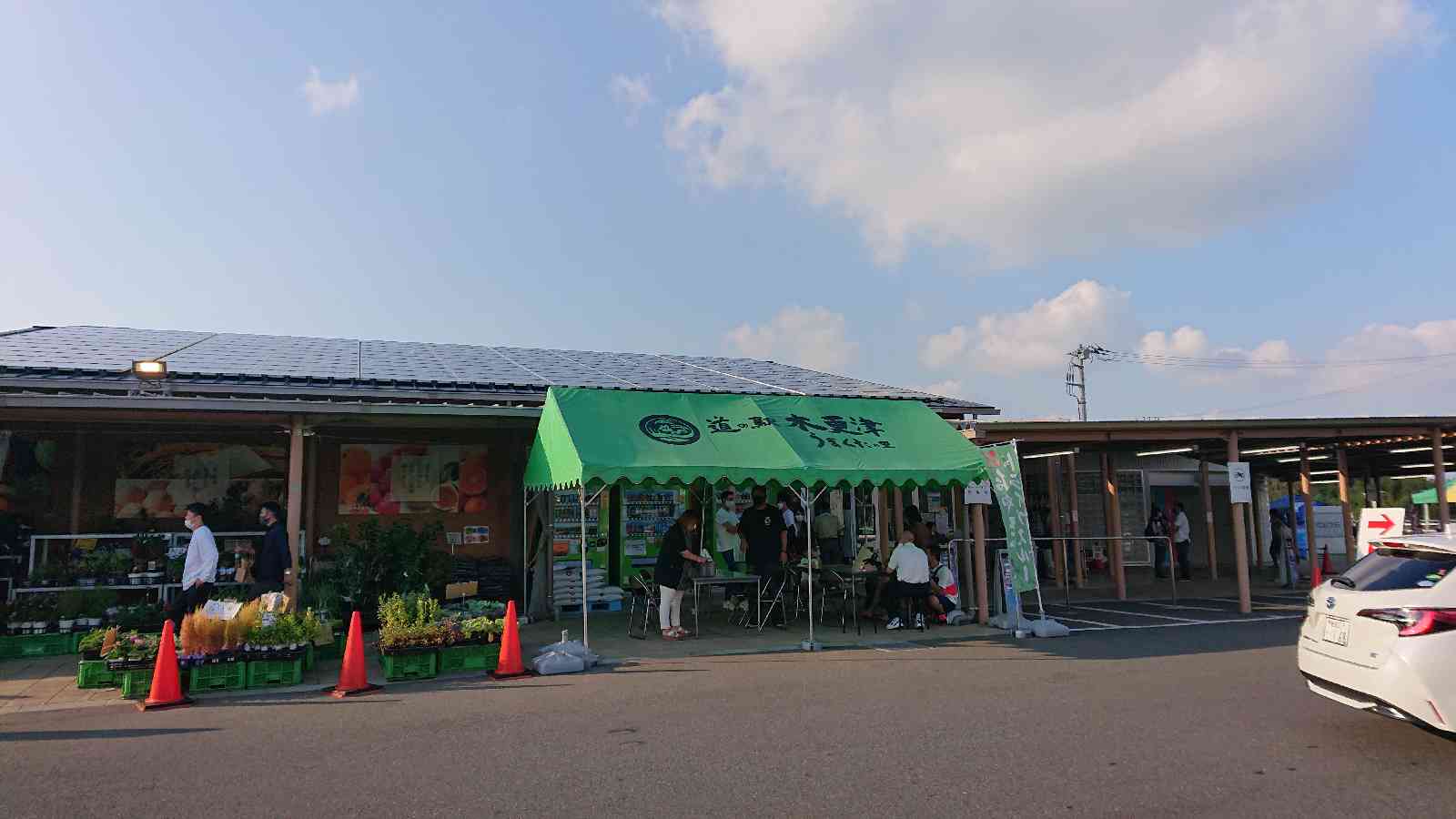 投稿された画像