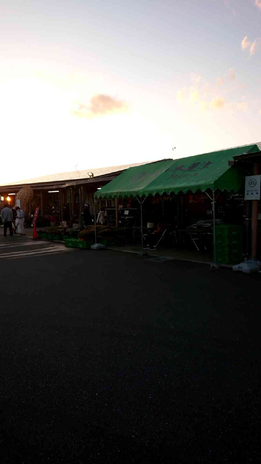 投稿された画像