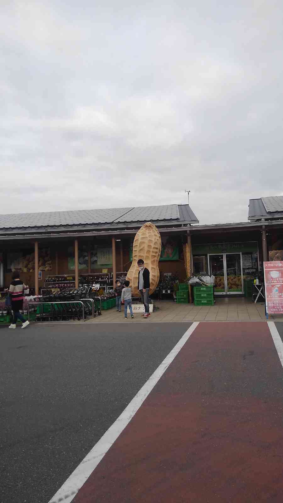 投稿された画像