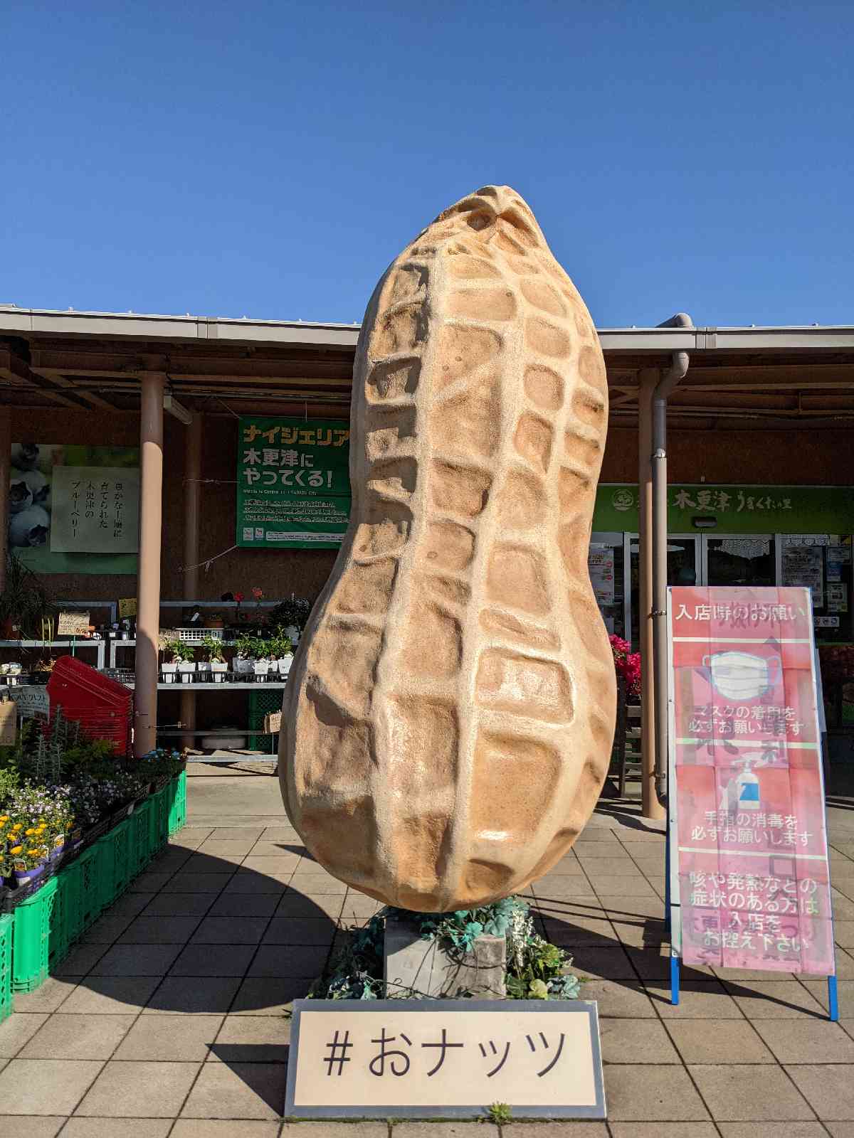 投稿された画像