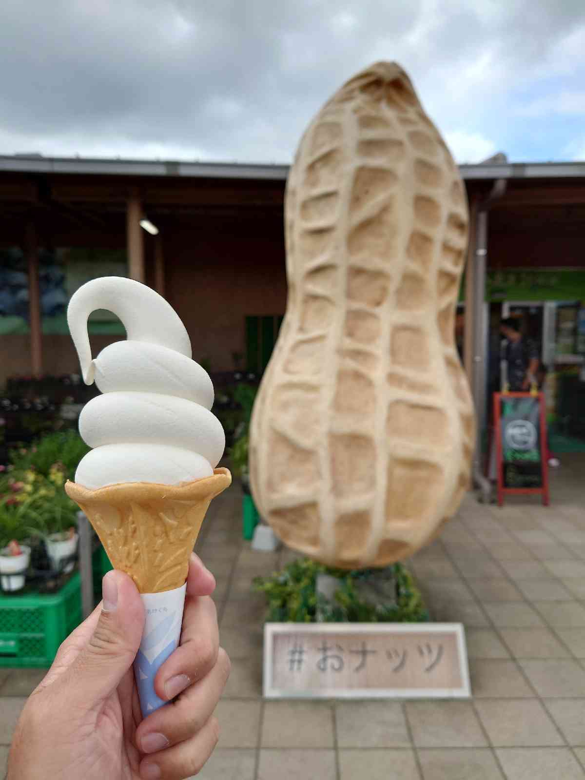 投稿された画像