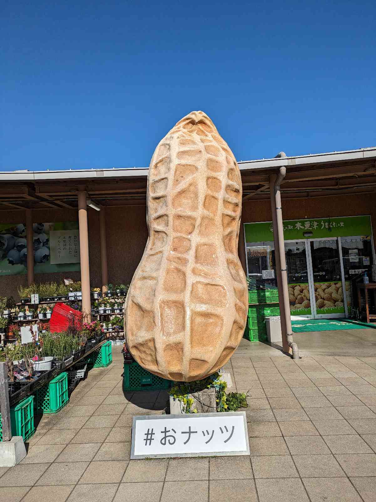 道の駅 木更津うまくたの里の写真
